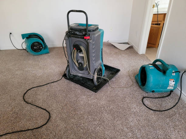 Best Water damage contractors near me  in Girard, OH