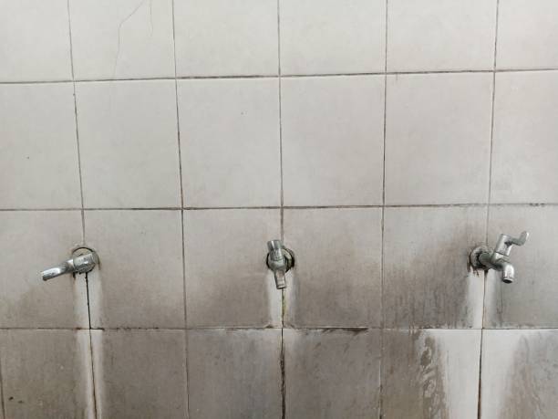 Best Basement water damage restoration  in Girard, OH